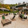 Rabarbar Górska Plaża