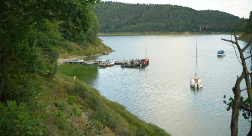 lwowecki.info