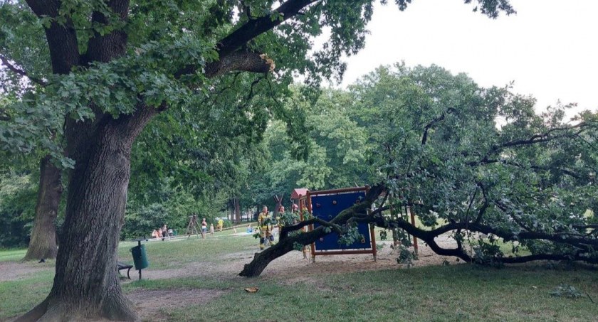 zdjęcie : Park Norweski w Cieplicach / O krok od tragedii