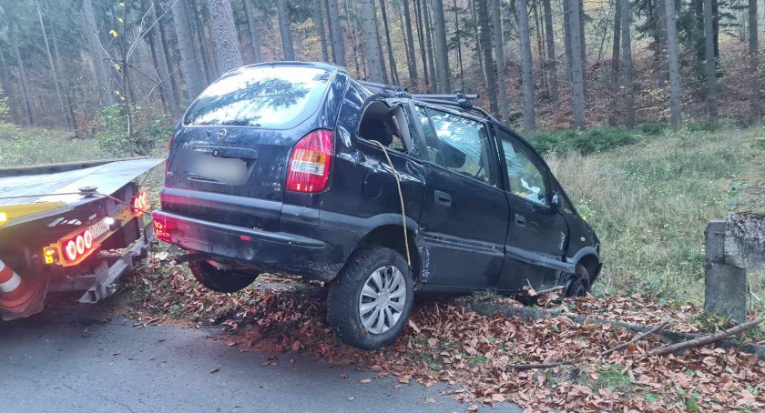 Zdjęcie: Oplem do lasu