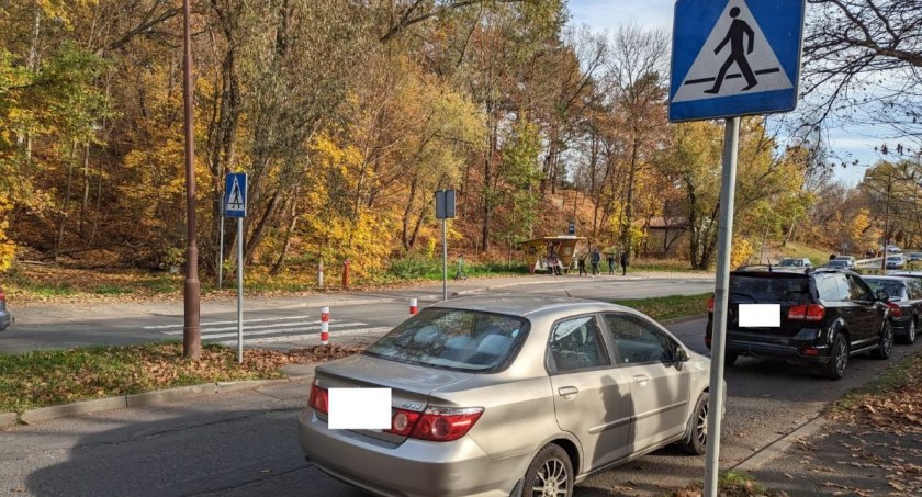 Zdjęcie: Straż Miejska Jelenia Góra