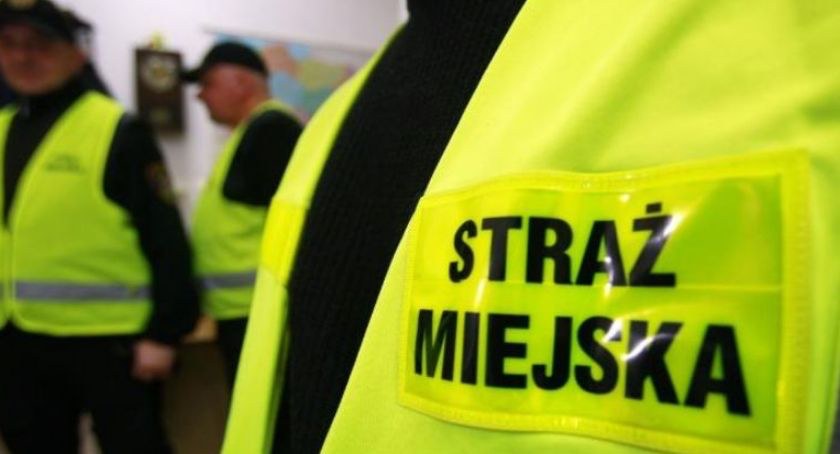 Zdjęcie: Straż Miejska Jelenia Góra