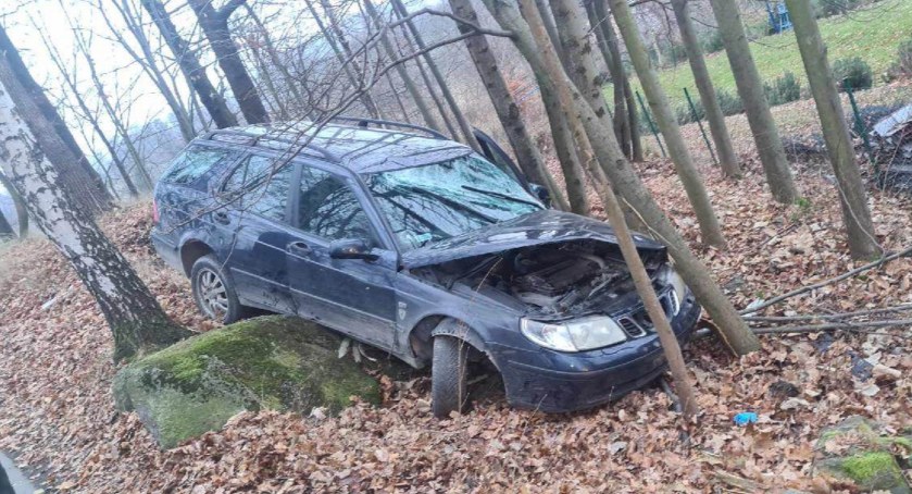 Zdjęcie: SAAB w zaroślach