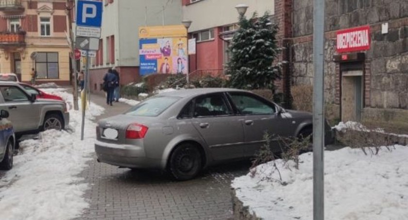 fot. Straż Miejska Jelenia Góra