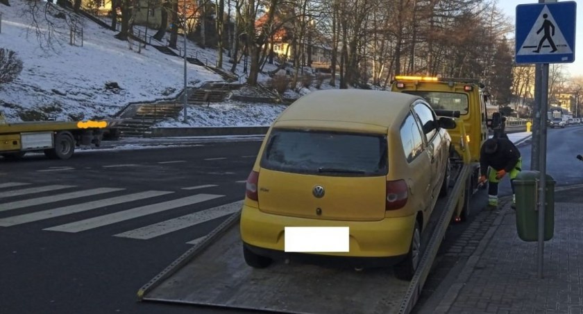 fot. Straż Miejska Jelenia Góra