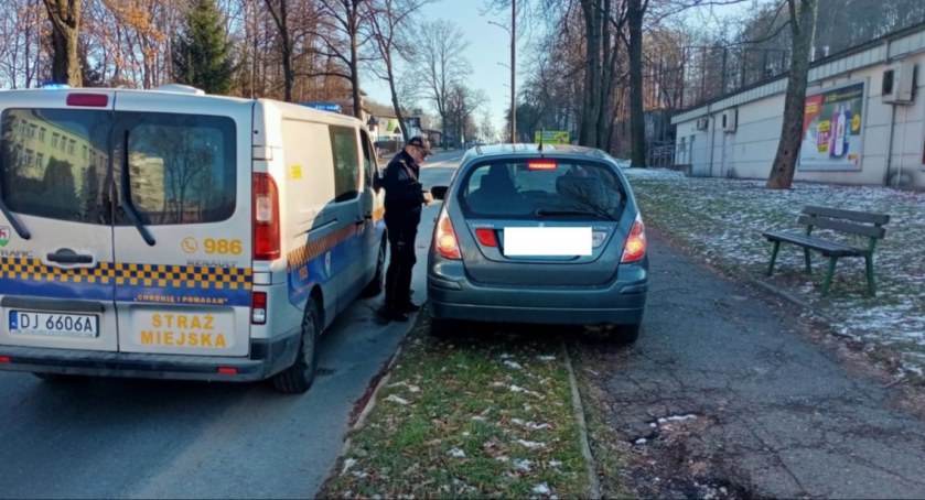 fot. Straż Miejska Jelenia Góra