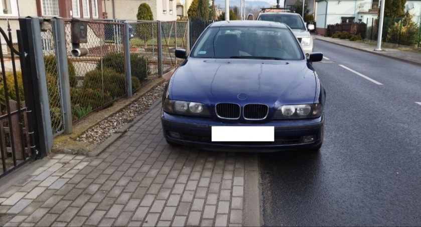 fot. Straż Miejska Jelenia Góra