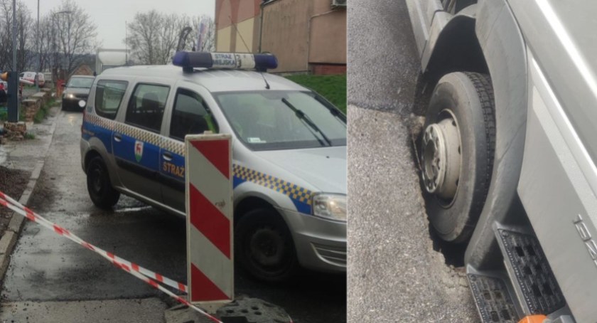 fot. Straż Miejska Jelenia Góra