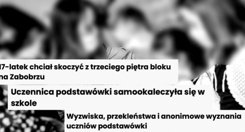 zdjęcie poglądowe