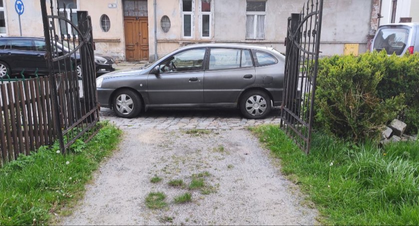 fot. Straż Miejska Jelenia Góra