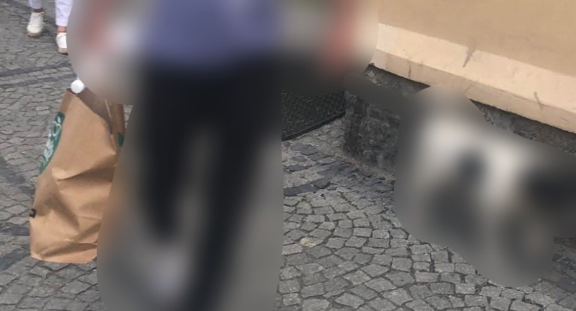 fot. Jelenia Góra Podaj Dalej