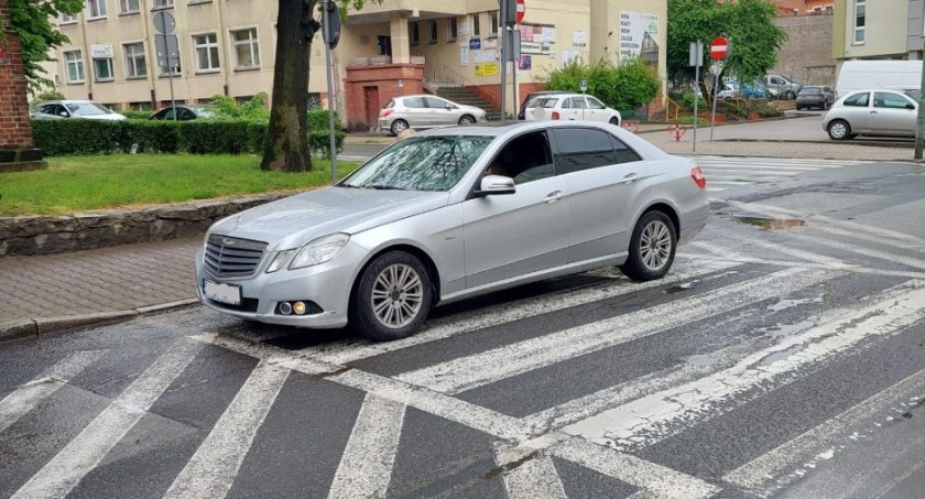 fot. Straż Miejska Jelenia Góra