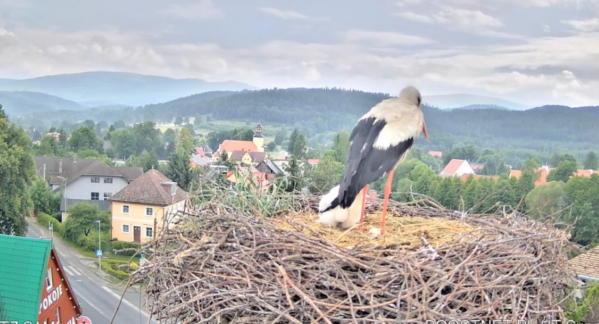 fot. Jerzy Myrna - Karkonosze GO/Facebook