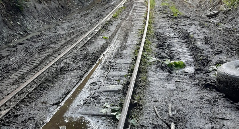 fot.Czytelnik