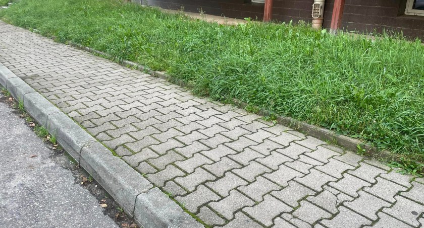 fot. Jelenia Góra Podaj Dalej - anonimowy uczestnik