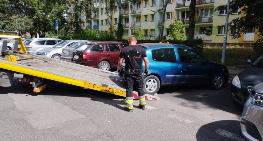 fot.Straż Miejska Jelenia Góra
