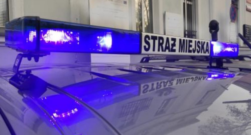 fot. Straż Miejska Jelenia Góra
