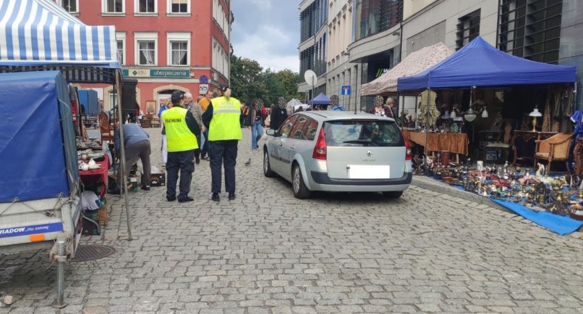 fot. Straż Miejska Jelenia Góra