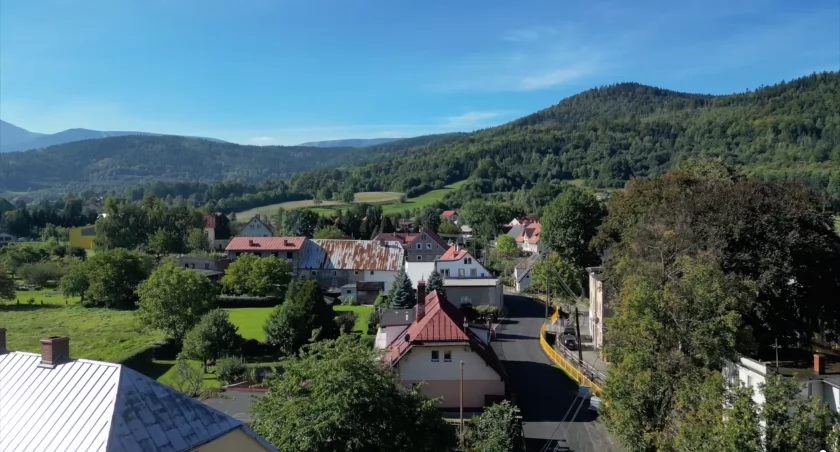 fot. Telewizja Dami
