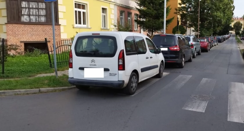 fot. Straż Miejska Jelenia Góra