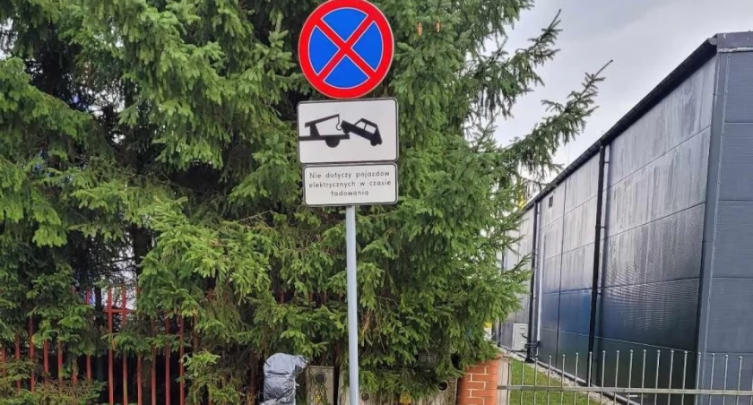 fot. Jelenia Góra Podaj Dalej. autor. Damian