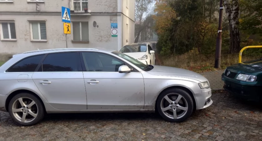 fot. Straż Miejska Jelenia Góra