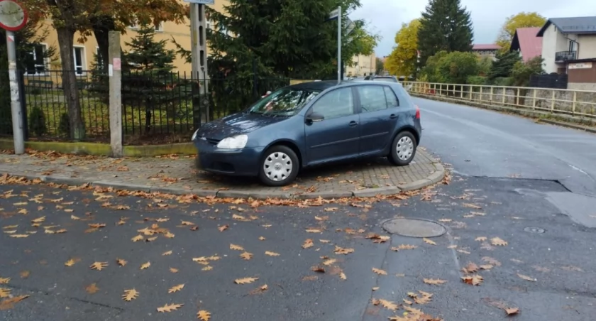 fot. Straż Miejska Jelenia Góra