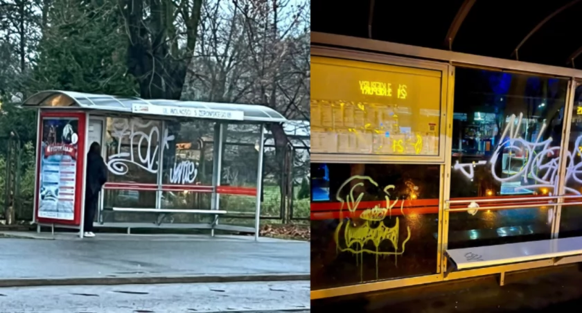 fot. Mirosław Zglenicki - Jelenia Góra Podaj Dalej