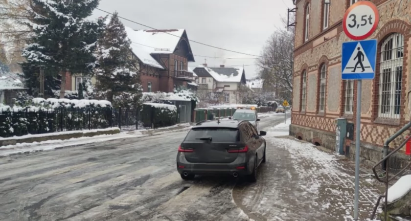 fot. Straż Miejska Jelenia Góra