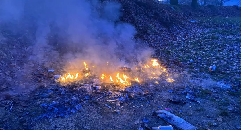fot. Straż Miejska Jelenia Góra