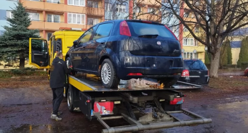 fot. Straż Miejska Jelenia Góra