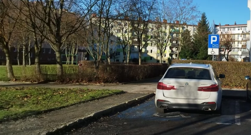 fot. Straż Miejska Jelenia Góra