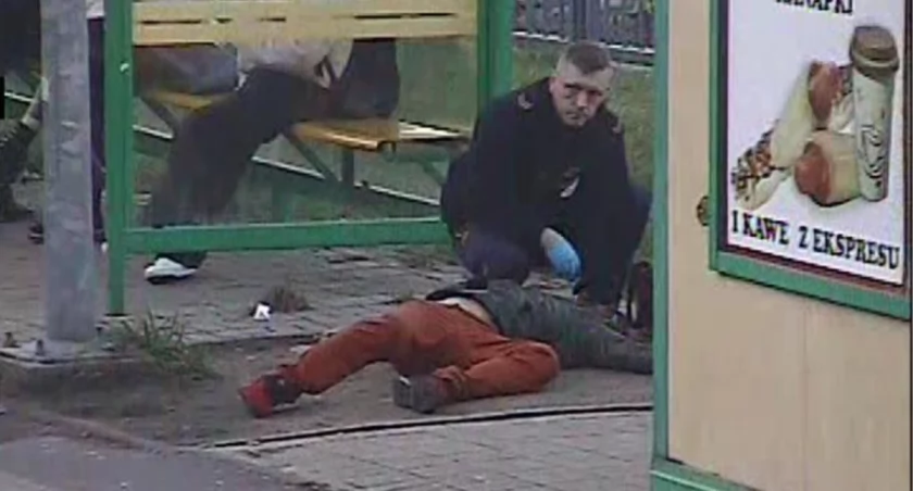 fot. Straż Miejska Jelenia Góra