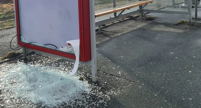 fot. Jelenia Góra Podaj Dalej. Autor anonimowy