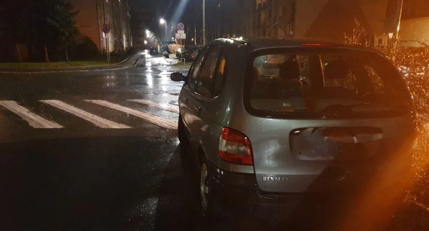 fot Straż Miejska Jelenia Góra