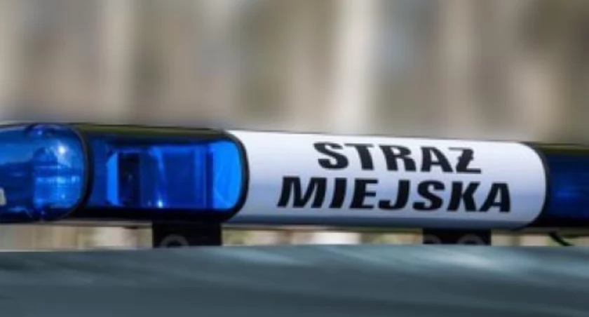 fot. Straż Miejska Jelenia Góra