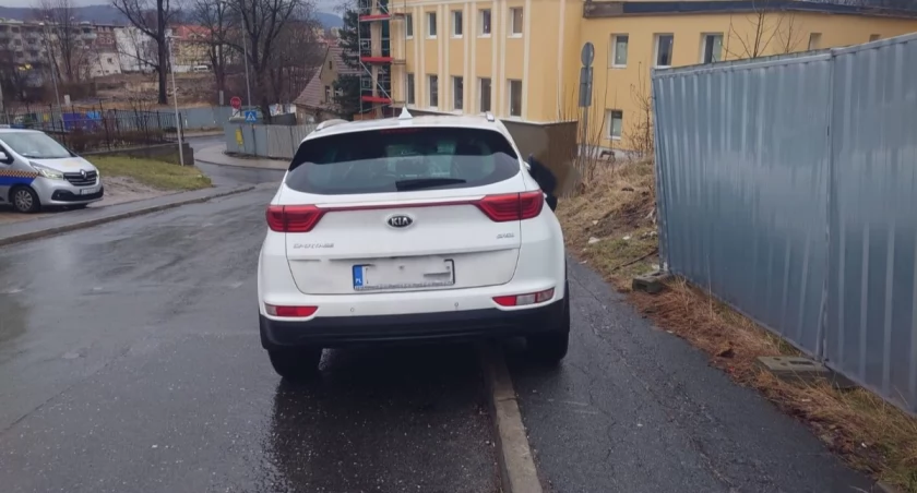 fot. Straż Miejska Jelenia Góra