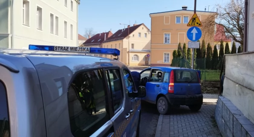 fot. Straż Miejska Jelenia Góra