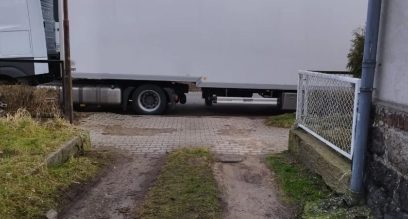 fot. Straż Miejska Jelenia Góra