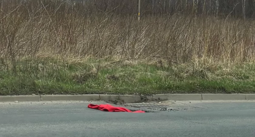 fot. Jarosław Tarnowski / Jelenia Góra Podaj Dalej