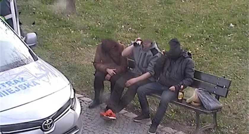 fot. Straż Miejska Jelenia Góra