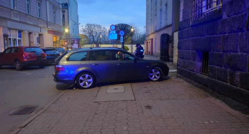 fot. Straż Miejska Jelenia Góra
