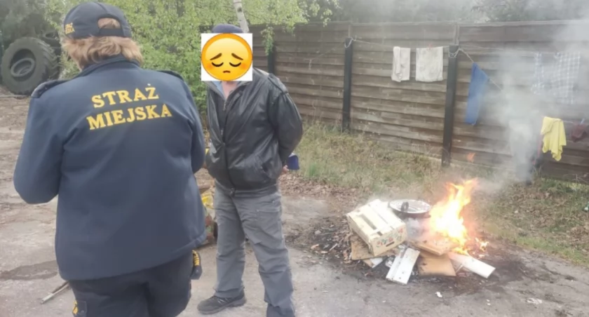 fot. Straż Miejska Jelenia Góra