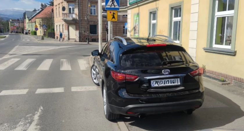 fot. Straż Miejska Jelenia Góra