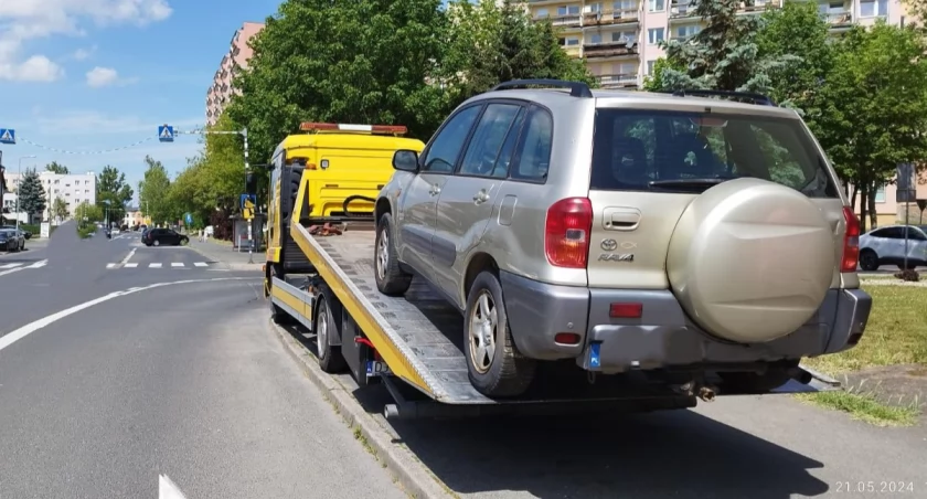 fot. Straż Miejska Jelenia Góra