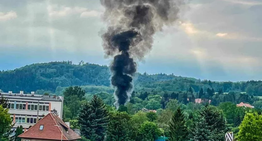 fot. Jelenia Góra Podaj Dalej / Mirosław Zglenicki
