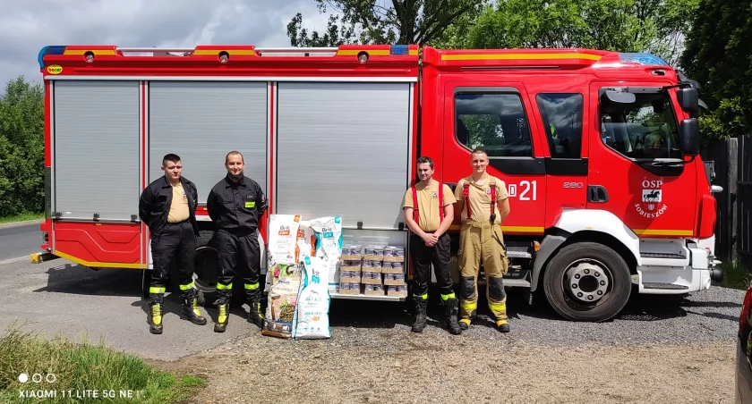 fot. Pomagamy, bo kochamy Organizacja ds. Ochrony Zwierząt