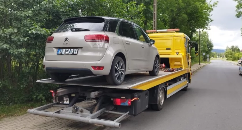 fot. Straż Miejska Jelenia Góra