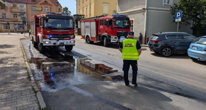 fot. Straż Miejska Jelenia Góra
