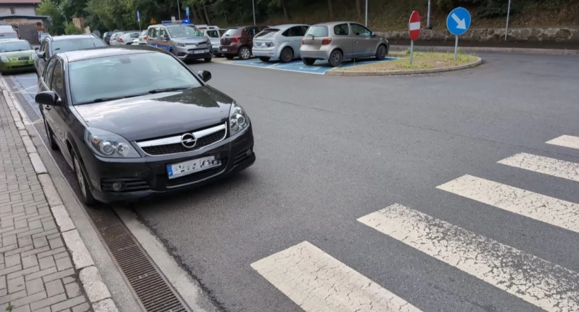fot. Straż Miejska Jelenia Góra